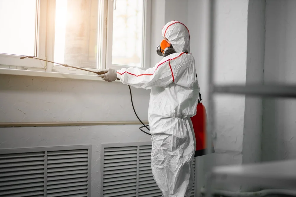 Professional mold remediation services in Dammeron Valley, UT